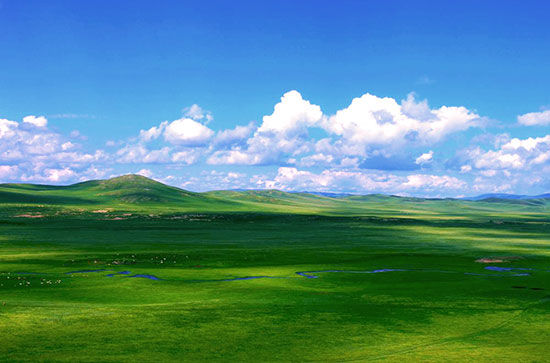 美到叹息的锡林郭勒大草原景点介绍及旅游攻略_新浪内蒙古旅游_新浪内蒙古